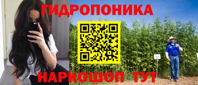 мяу мяу мука Комсомольск-на-Амуре