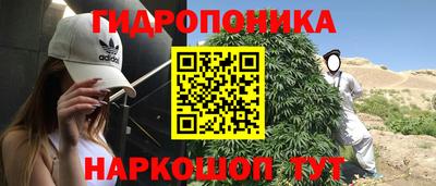 мяу мяу мука Комсомольск-на-Амуре