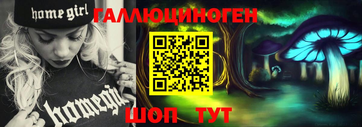 Псилоцибиновые грибы Psilocybe  Вход с VPN  Кимовск 